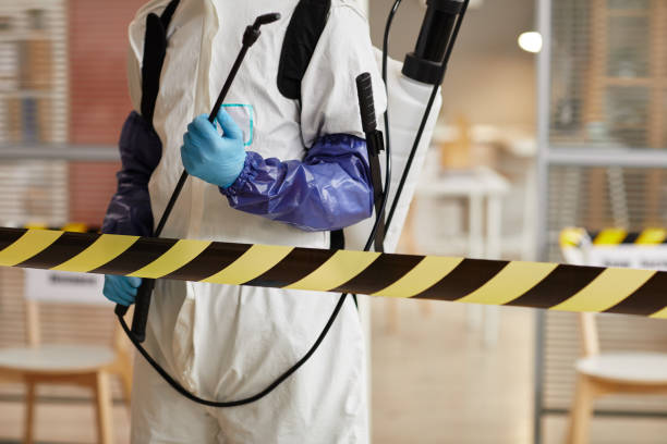 Professional Sewage Cleanup technician working in Arapahoe, WY